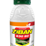 ZIBAN 630EC - 100ML