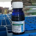 ARMURE 300EC - 250ML