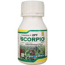 1777088938_scorpio.jpg
