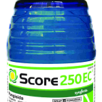 SCORE 250EC