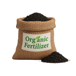 NUTRISI TANAMAN